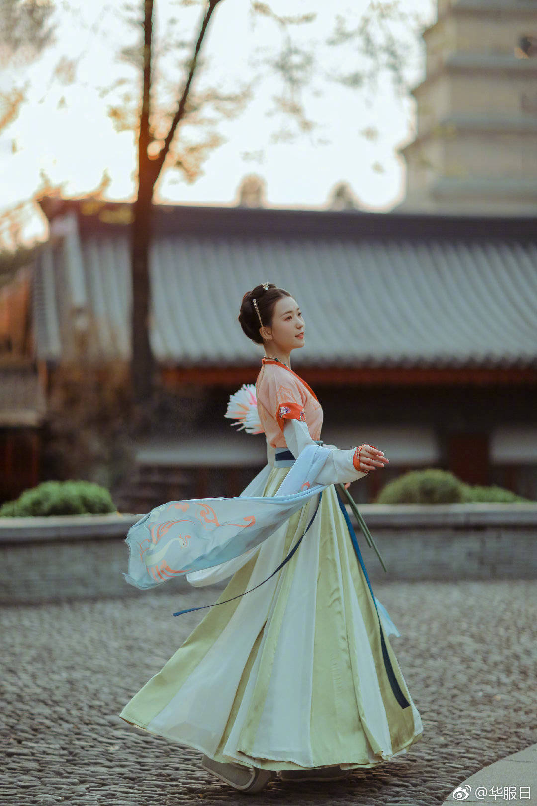 薄霧by微風幾許全文免費閱讀TXT下載