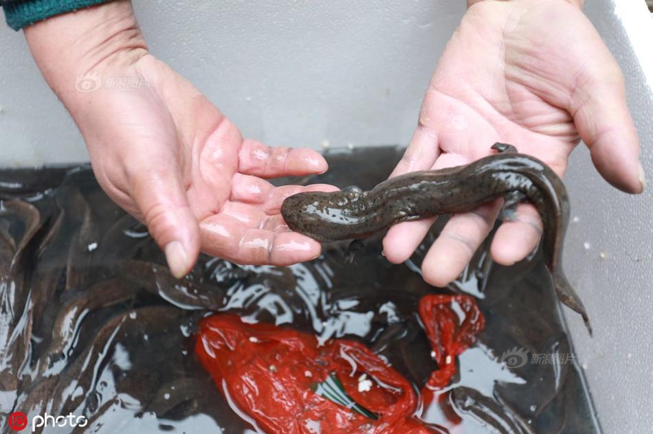 錯愛by蘇瑪麗結局是什么