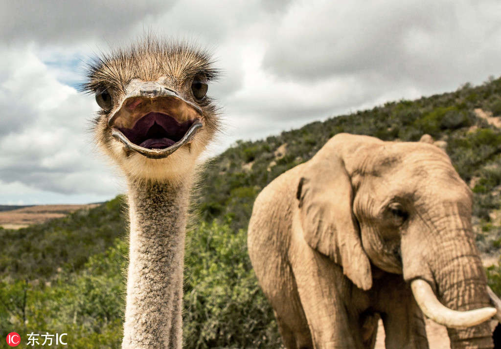 憂郁時(shí)鐘by烏梅嶼劇透