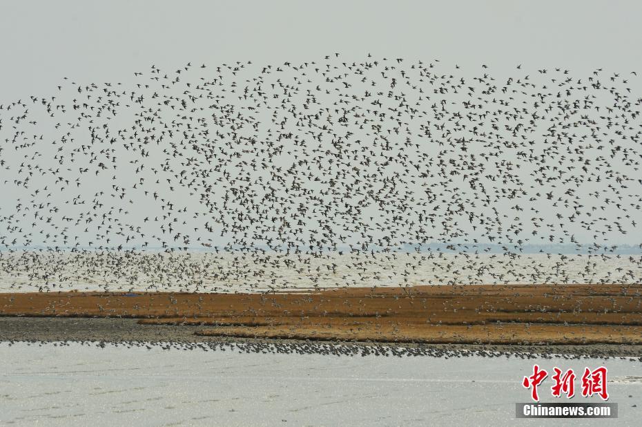 珠玉側霧以po古言
