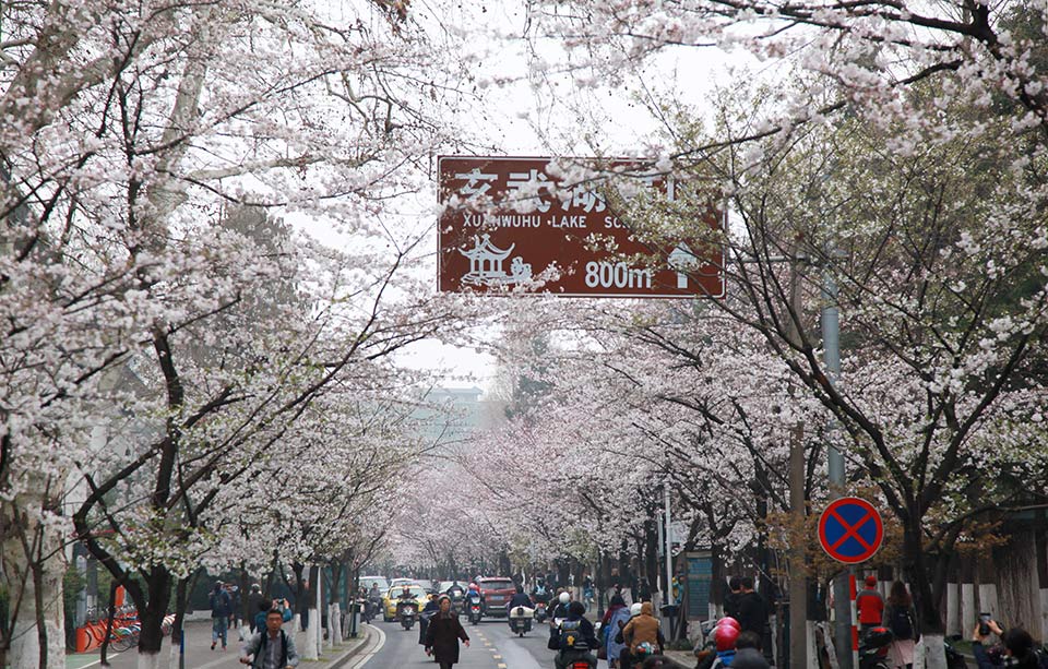 蝶變筆趣閣免費無彈窗全文本小說