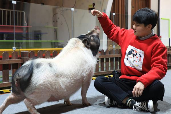 衣冠禽獸by初來乍到免費閱讀