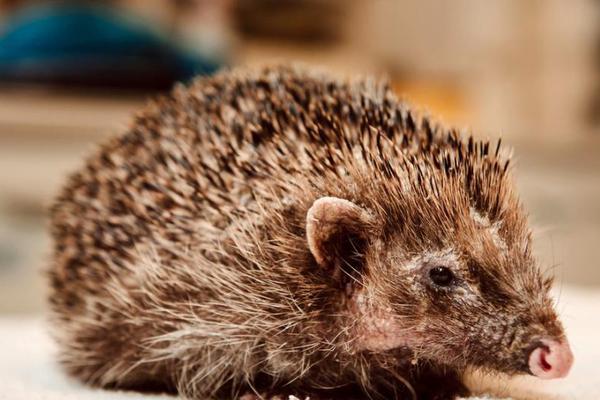 錯位關(guān)系by棄吳鉤全本txt