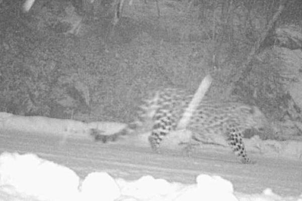 《白月光》by畫七