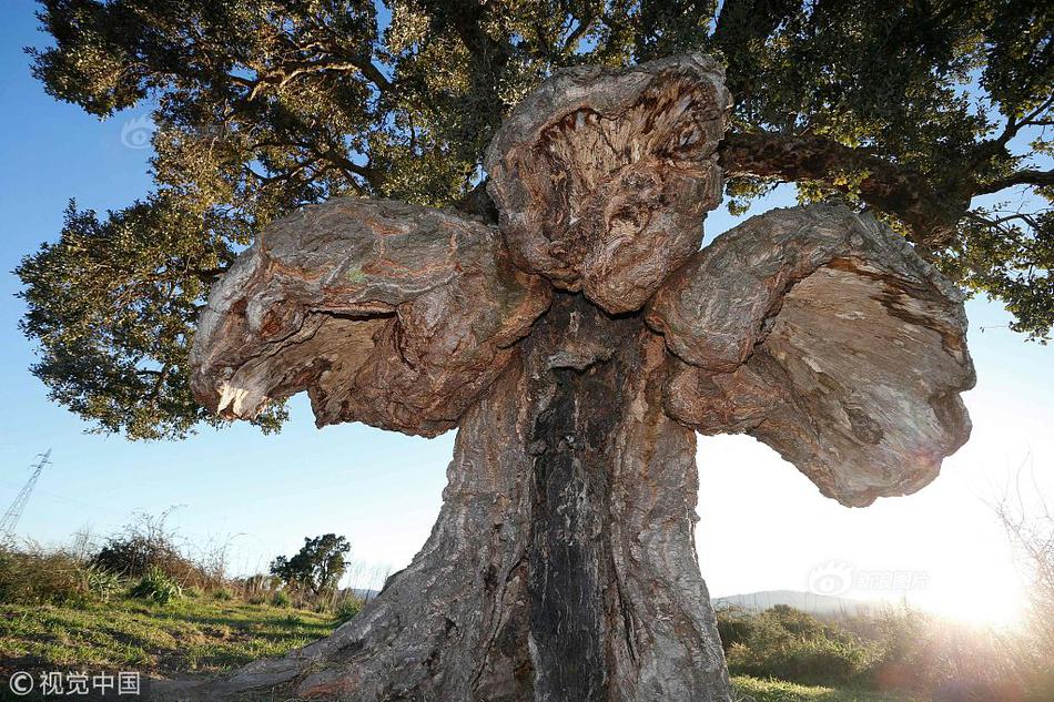 重生之君后by青枝令