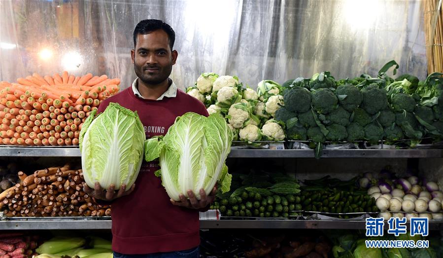 (sp/)筆趣閣夢想城