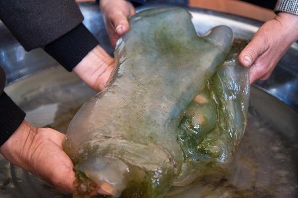 重生大秦我為皇TXT下載