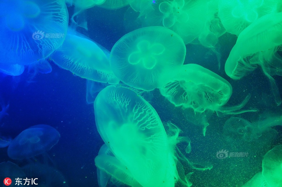 筆趣閣古文小叔子