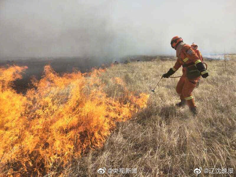 裝乖by一只小甜甜免費閱讀