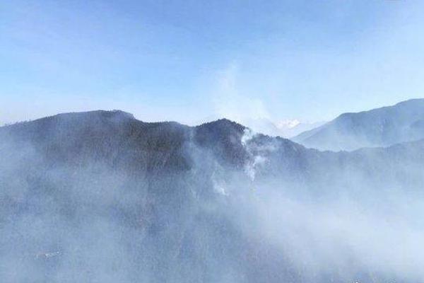 再嫁鵲枝by蘼蕪講的什么