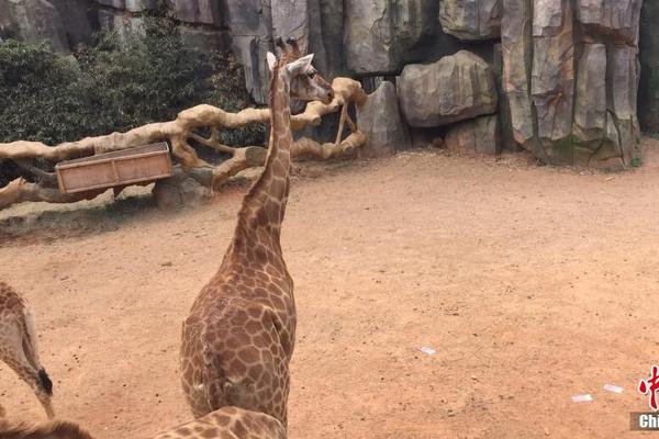 白日放縱by有煙無糖賀琛