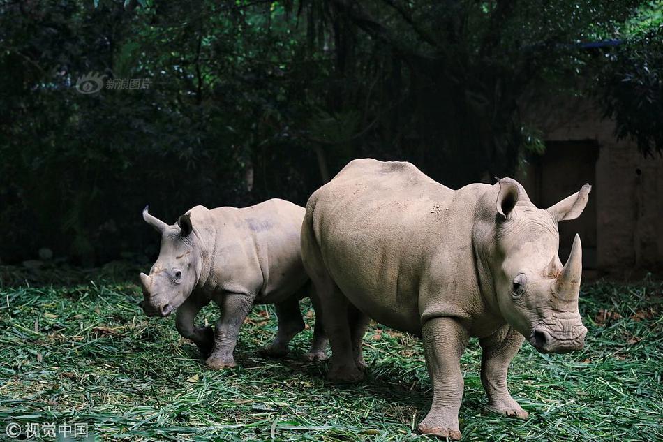 黑山老妖TXT下載全本