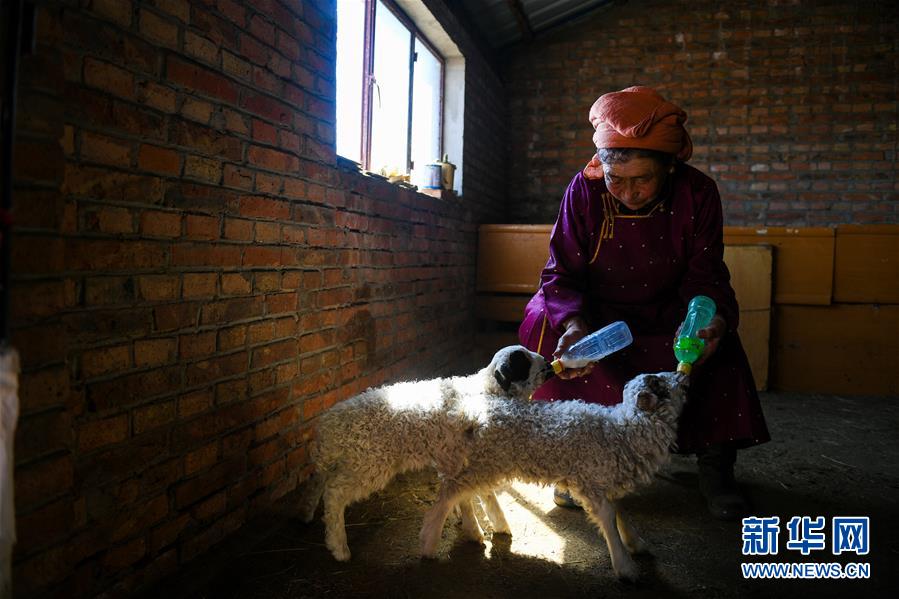 抵債物(年上)作者:黃燈