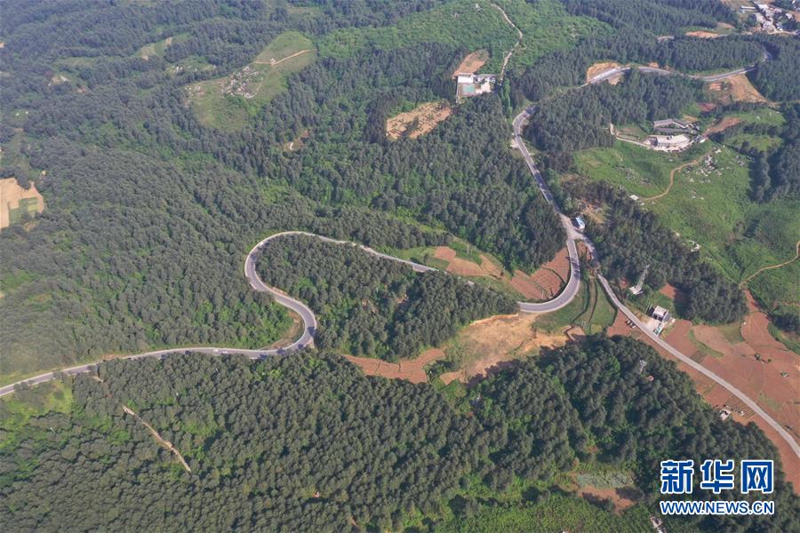 總裁的懲罰期BY筆趣閣