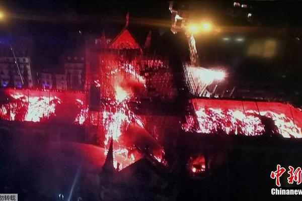 掌心雀txt在線閱讀