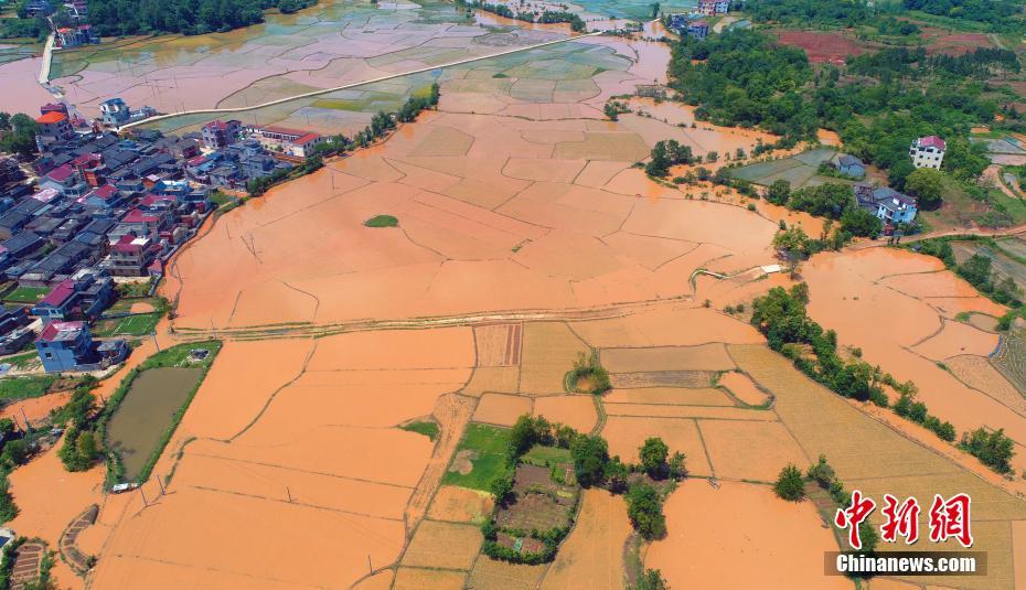 蠶食by挽月講的什么