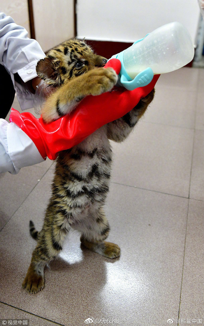 一些訓(xùn)誡文小零嘴by笙寒雙男主