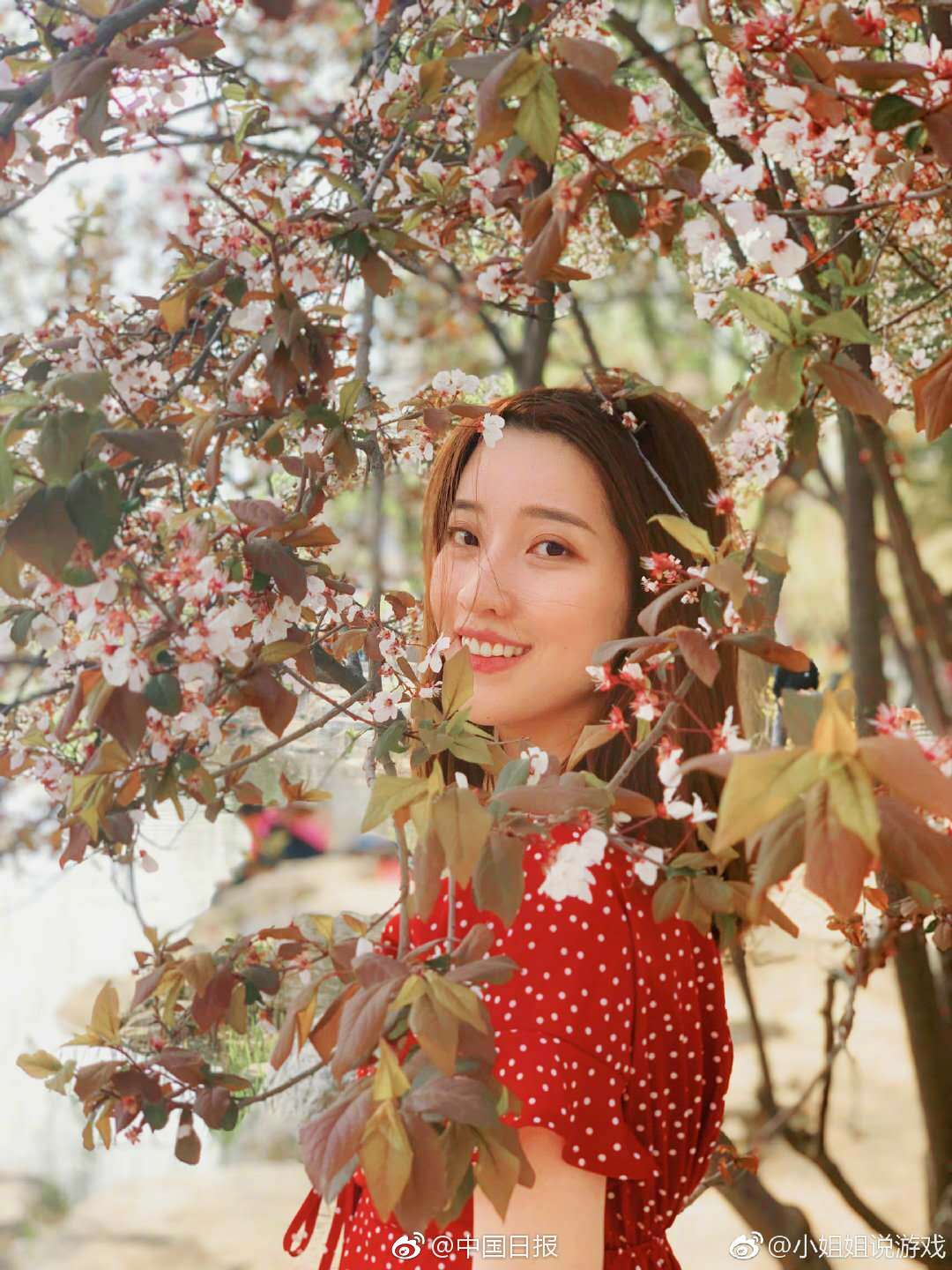 不死不滅TXT電子書免費下載