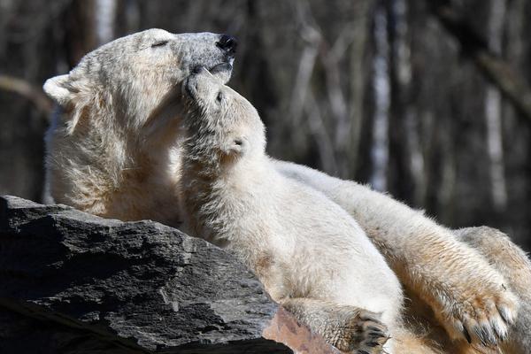 純車骨科2v1兄妹