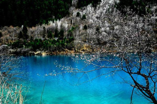 一劍霸天蘇信筆趣閣最新章節(jié)