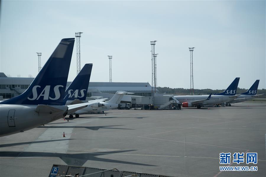 hp和教授在一起的日子