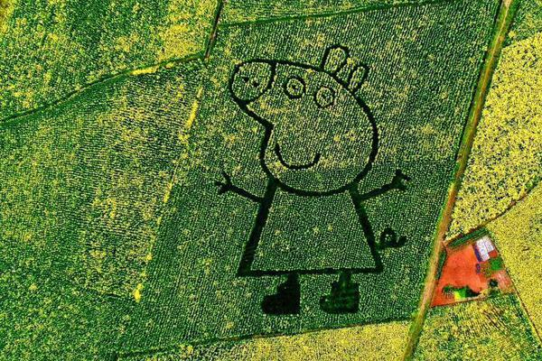 《春夜難纏》全集觀看完整版