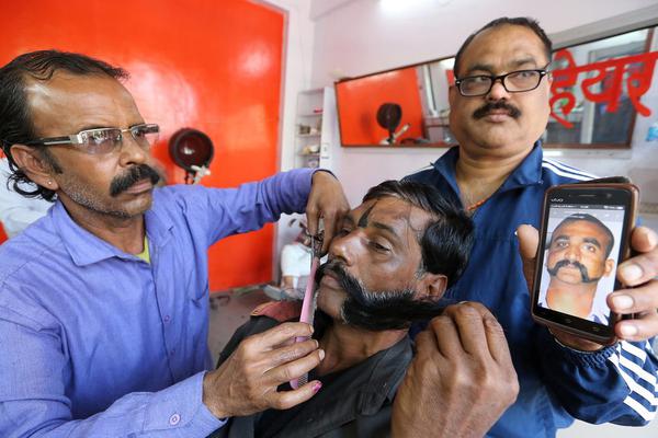 與狼共枕txt下載