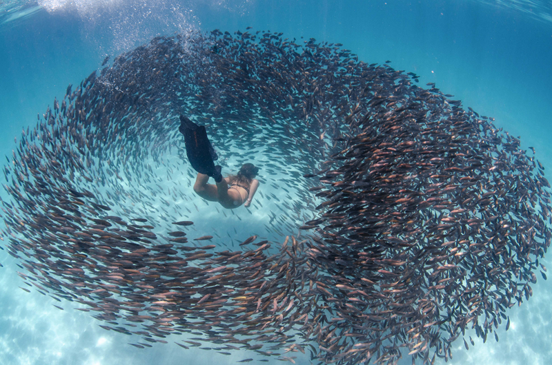 傭兵天下TXT下載