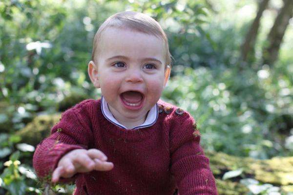 共騎木馬by木枝小說免費閱讀