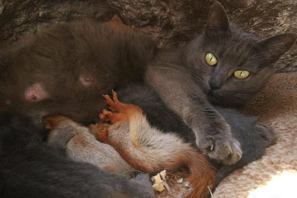 贅婿筆趣閣無彈窗最新章節