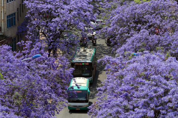 渡劫專家的后現代生活txt免費