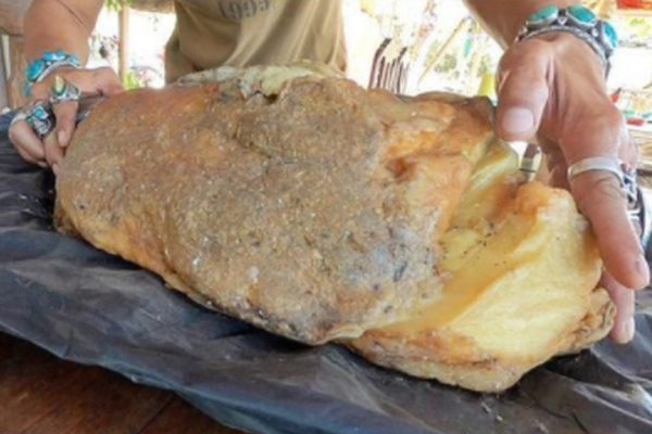 《傻子》by花卷 小說