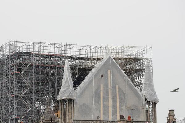 只愛(ài)你一人骨科