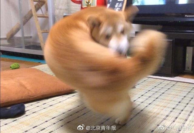 1V1(師生)筆趣閣雙男