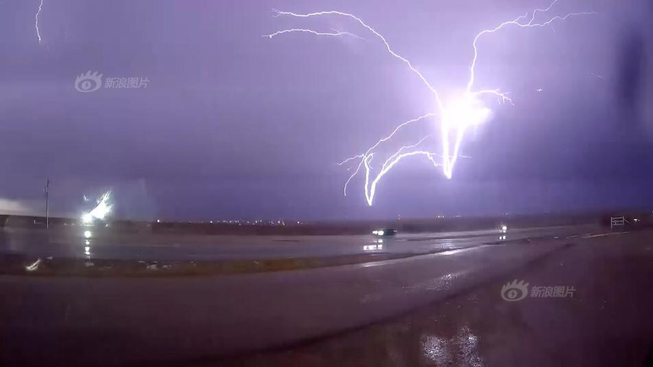 大理寺卿by安妮薇一共多少章