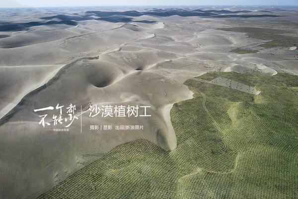 《八號風球》by卡比丘