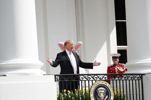 以玫瑰之名by秦仲爵