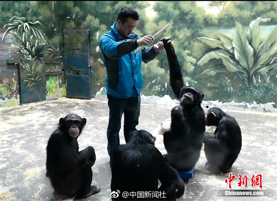 阿司匹林小說TXT