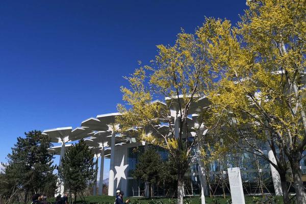 不見上仙筆趣閣無