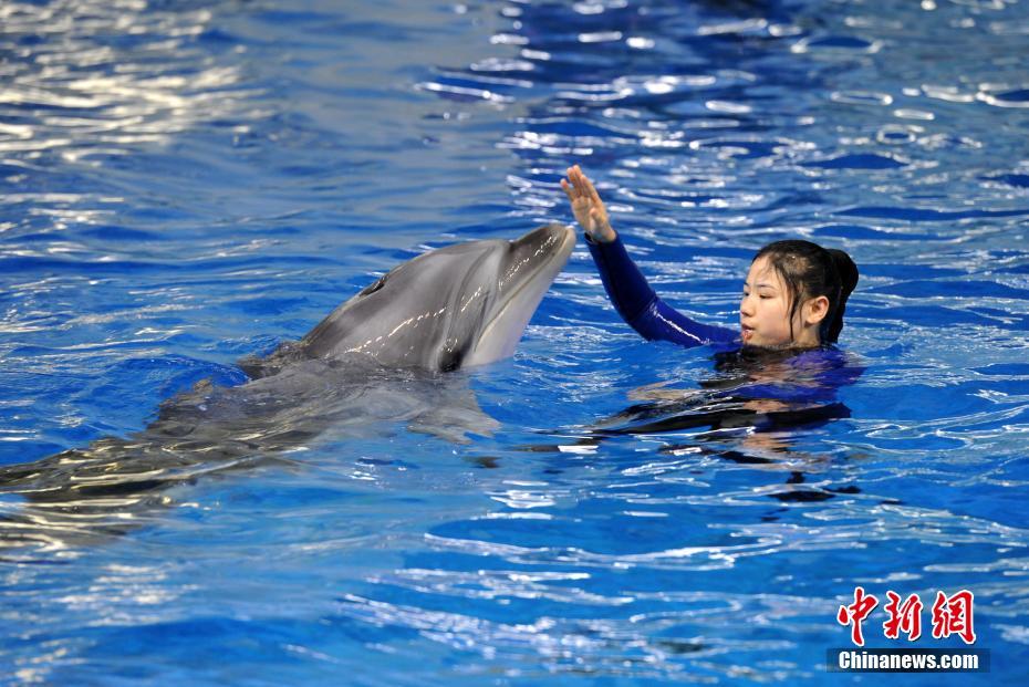 葉秋白冰最新小說