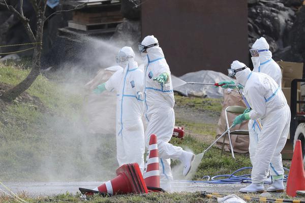 爸爸txt筆趣閣小說在線閱讀免費