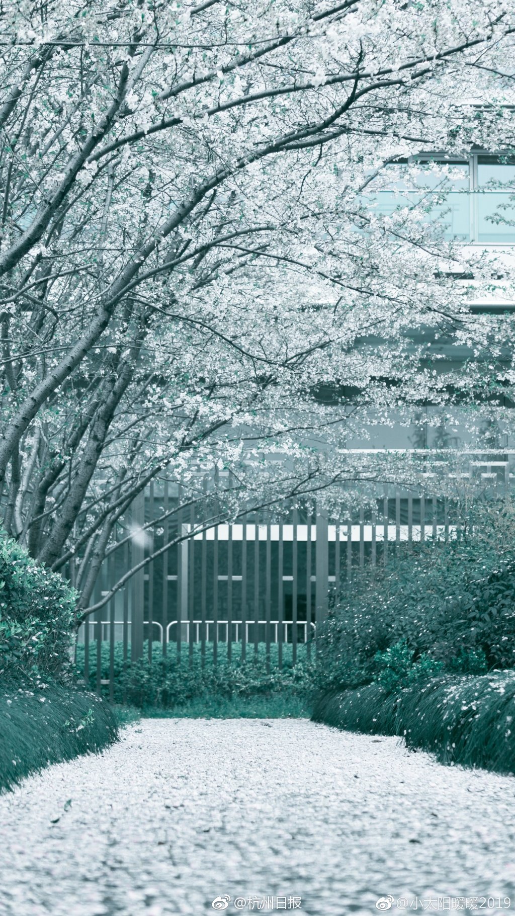 筆趣閣舊版無廣告無彈窗