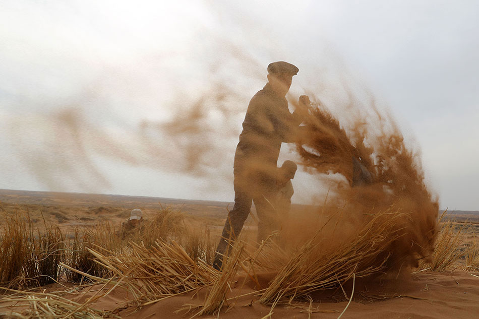 姑娘我愛你原唱