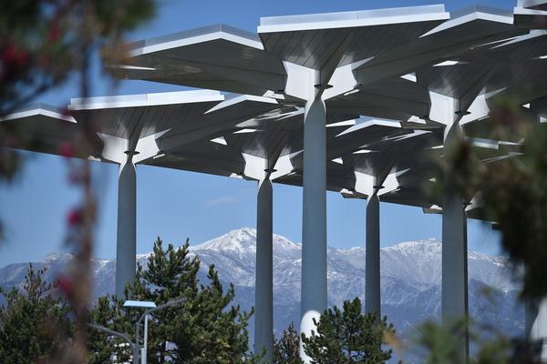 《梵行(穿書)》by洛神 txt