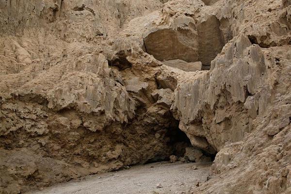 阿兄太愛我怎么辦(重生)百度云