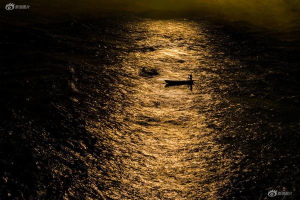 HP當你不追他了