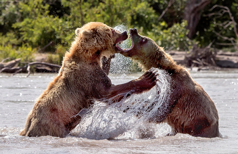 Hp薩戈SSGG文穿越千年后