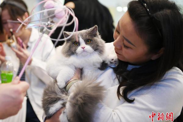 并蒂櫻桃by晏南光小說