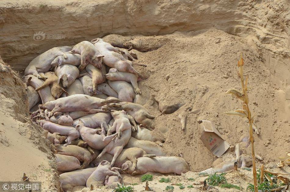 (出軌,上位)的小說(shuō)