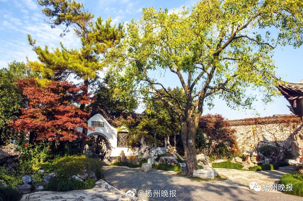 《生食》by響耳